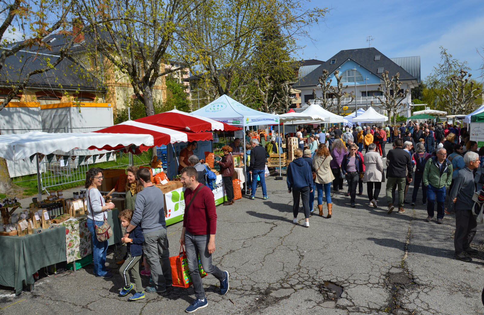 ورشة تدريبية